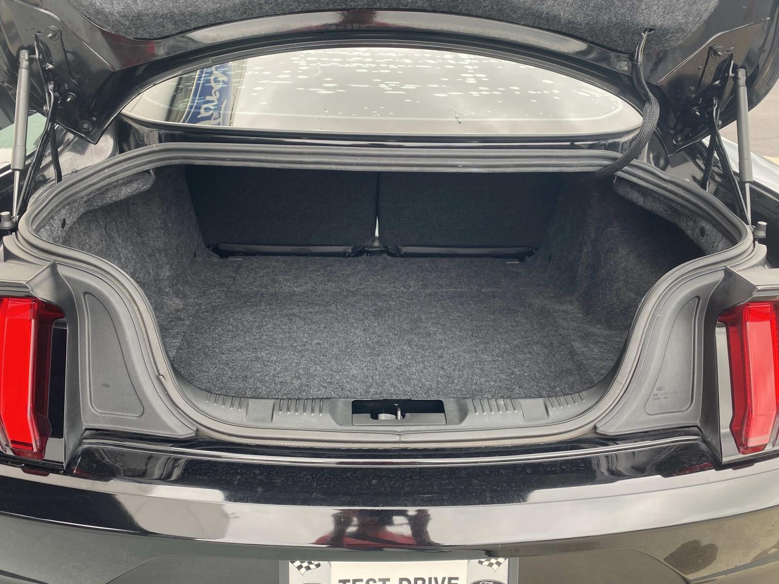 2019 Ford Mustang GT Fastback