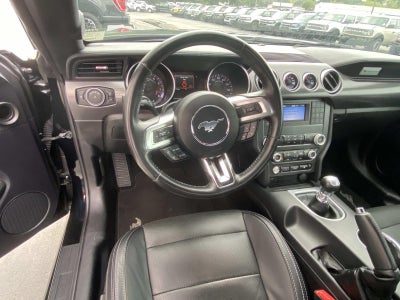 2019 Ford Mustang GT Fastback