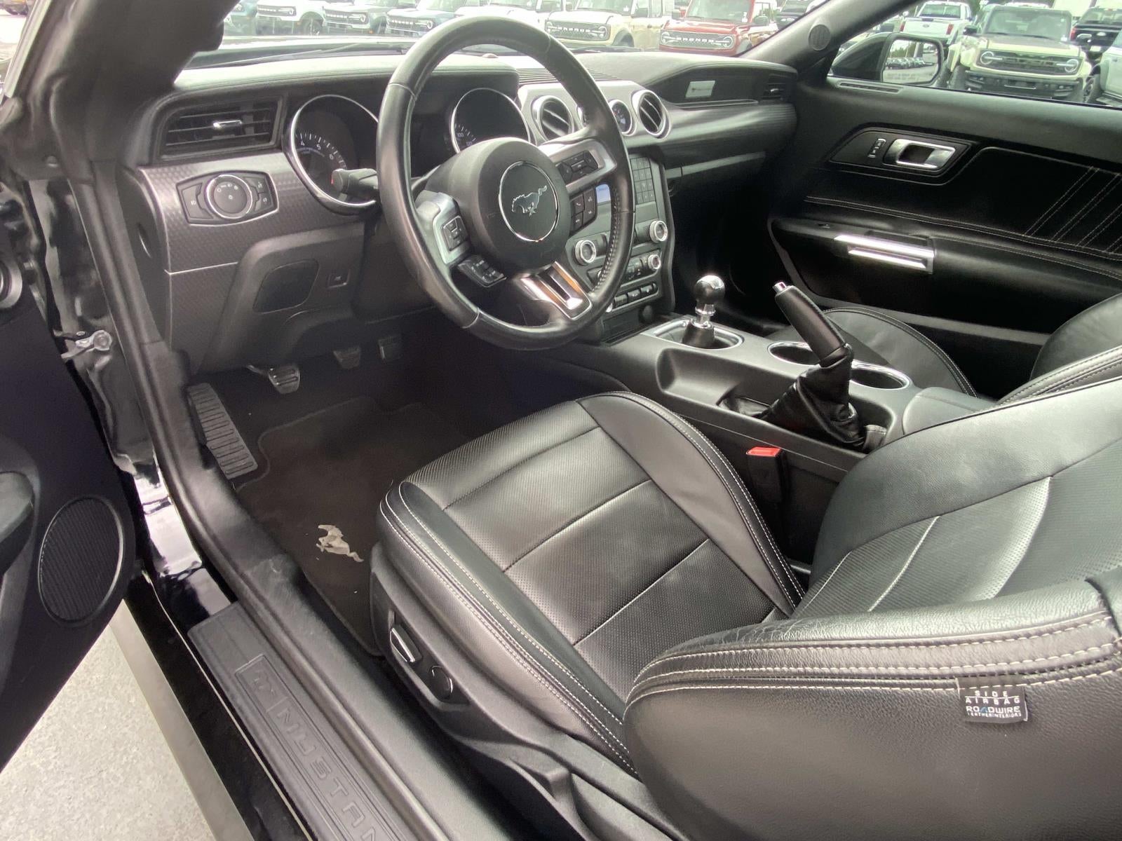 2019 Ford Mustang GT Fastback