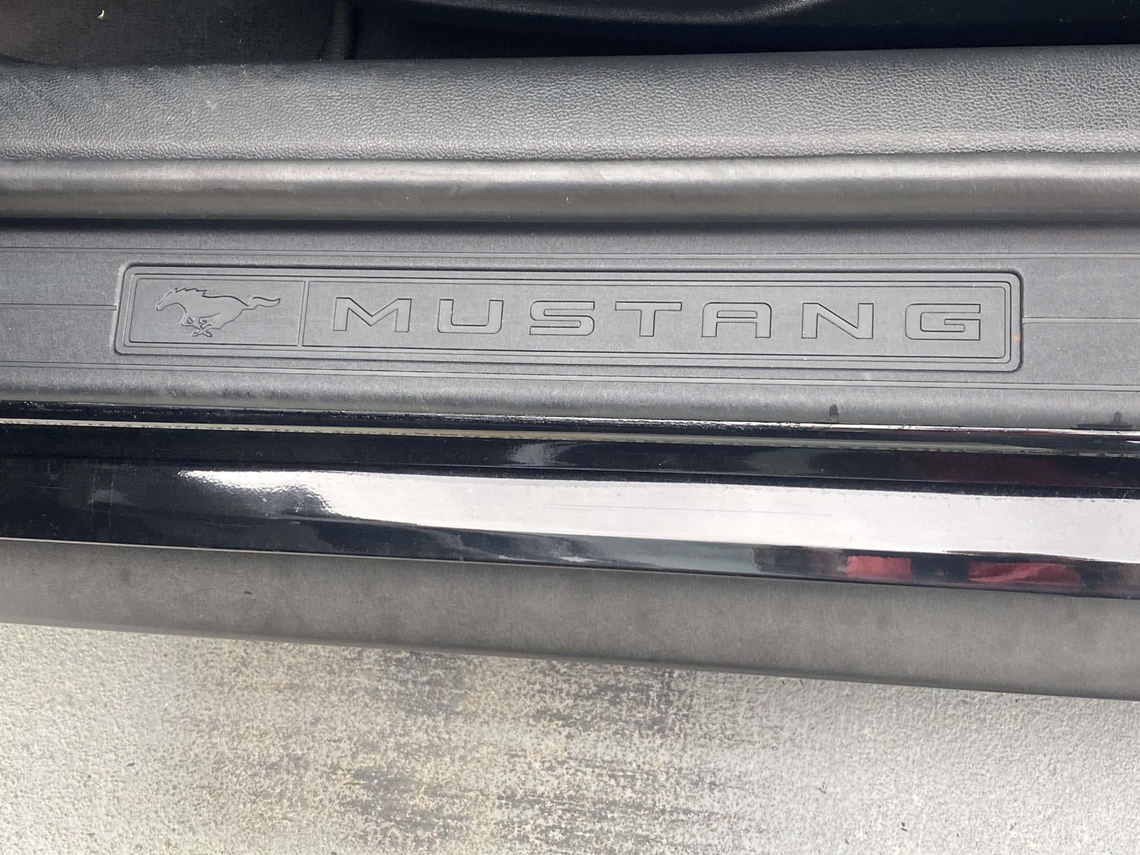 2019 Ford Mustang GT Fastback
