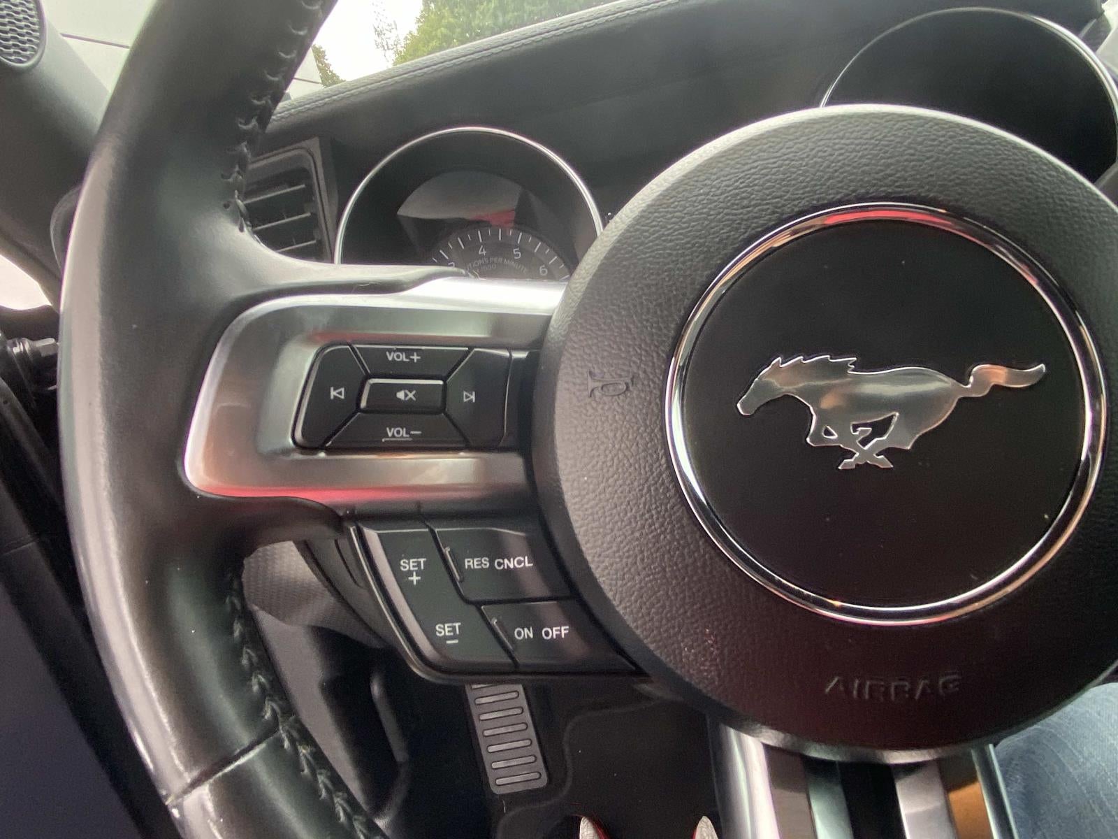 2019 Ford Mustang GT Fastback