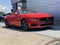 2024 Ford Mustang EcoBoost Premium Convertible