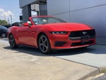 2024 Ford Mustang EcoBoost Premium Convertible