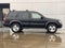 2002 INFINITI QX4 4dr SUV Luxury