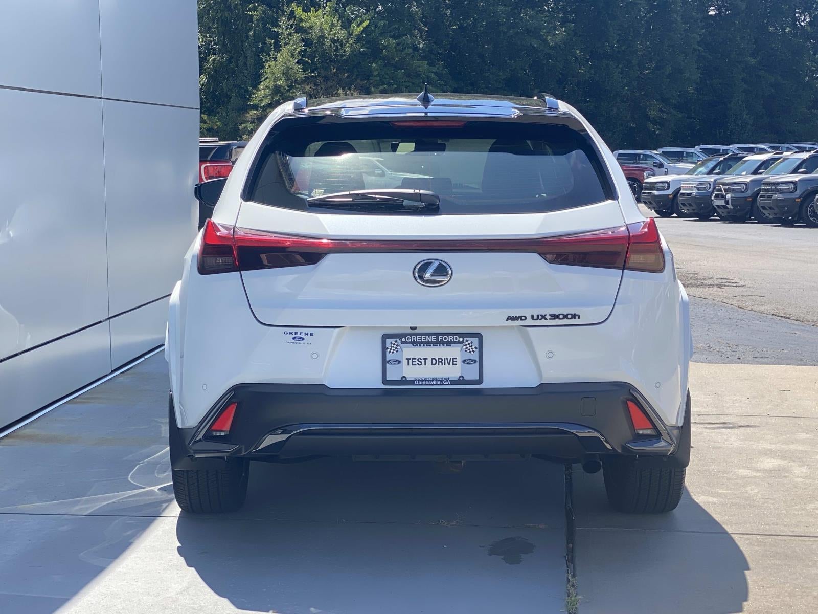2025 Lexus UX UX 300h F SPORT Design AWD photo 5